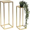 Two gold metal plant stands of different heights against a white background. A potted plant with green vines is on the taller stand. Anteprima dell’immagine prodotto