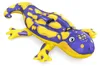 Bestway® Flotteur Splashing Salamander™ 191 x 119 cm Voir les images du produit 3