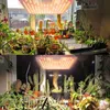 192 LED lampada per piante luce per piante a spettro Anteprima dell’immagine prodotto 7