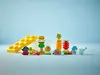 LEGO® DUPLO® 10984 Jardin Voir les images du produit 12