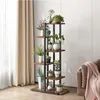 A multi-tiered plant stand filled with various potted plants is placed next to a window with beige curtains and a brown sofa with a pink throw blanket. Anteprima dell’immagine prodotto
