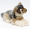 A plush toy wolf puppy lying down on a white background. Produktbild-Vorschau