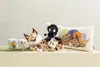 Nici Kuscheltier Lemur Ruffi, Recycling-Polyester, Grau, Produktbild-Vorschau 6