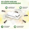 Ameisen Falle mit Spezial-Lockstoff – 3x Fallen – Ameisen Produktbild-Vorschau 5