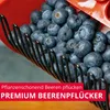Westmark Cueilleur de baies - Idéal pour la cueillette des Voir les images du produit 2