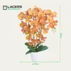 Lacers SmagragdLine Pflegeleichte Orchidee mit Topf orange Produktbild-Vorschau 5