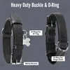 Grand Line Leder Hundehalsband, Lederhalsband Hund mit Produktbild-Vorschau 3