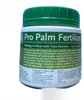 Palmendünger - 500 g - Nährsalz-Granulat - Pro Palm Produktbild-Vorschau 3