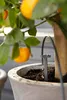 Gardena giardinaggio urbano - Kit di irrigazione per le Anteprima dell’immagine prodotto 5