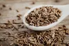 SAFLAX - Bio - Kminek - 800 Nasiona - Z podłożem uprawowym Podgląd zdjęcia produktu 5