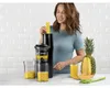 Slow Juicer NBJ500 (grijs/zwart, 150 Watt) Productafbeelding-voorbeeld 6