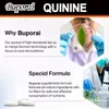 Quinine 500 mg (120 Kapseln) Nahrungsergänzungsmittel, Produktbild-Vorschau 7