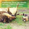 AniForte Flohspray für Hunde & Katzen 250 ml - Floh-Ex Produktbild-Vorschau 5