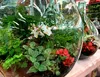 25 L Gärballon, Vase, Blumenvase Decorations Glasballon Produktbild-Vorschau 12