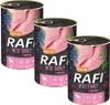 Dolina Noteci Rafi, Adult, jede Rasse, Riese (≥45 kg), Groß Produktbild-Vorschau 9