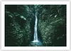Poster - Poster ohne Rahmen - Tropen Wasserfall Dschungel - Produktbild-Vorschau 1