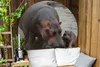 MuchoWow® Produktbild-Vorschau 3