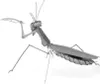 Metal Earth Praying Mantis, Bausatz, Metall Produktbild-Vorschau 16
