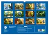 Im Wellensittich Wunderland (Wandkalender 2027 DIN A3 Produktbild-Vorschau 2