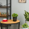 Blumentopf Blumenübertopf Weiss Blumenschale mit Produktbild-Vorschau 8