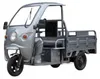 Elektro-Lastendreirad Cargo Cruiser Dach mit Dach 45 km/h Produktbild-Vorschau 1