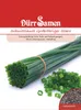 Schnittlauch Staro grobröhrig | Schnittlauchsamen von Dürr Produktbild-Vorschau 1