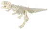 Set di scavo per scheletri di dinosauro con scalpello e Anteprima dell’immagine prodotto 16
