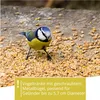 WILDLIFE FRIEND, Vogeltränke hängend für Balkongeländer, Produktbild-Vorschau 4