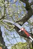 Astsäge Powercut saw PRO 370 (rot/silber) Produktbild-Vorschau 9