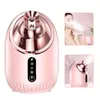 Appareil à vapeur pour le visage Vaporisateur facial Voir les images du produit 1