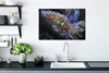 OneMillionCanvasses® - Plátno - Ryba - Nemo - Korál, Náhled obrázku produktu 2