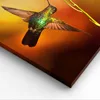 Bild auf Leinwand - Leinwandbild - Kolibri Vogel Sommer - Produktbild-Vorschau 5