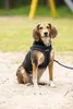 Beeztees Geschirr Premium Parinca Step-In schwarz Produktbild-Vorschau 7