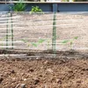 Tunelové oblúky v sade 6 ks Náhľad obrázku produktu 5