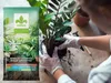 Grünpflanzenerde 20 l - Hochwertig - Nährstoffreich - Für Produktbild-Vorschau 4