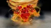 LEGO® NINJAGO Spinjitzu Kai, 70659 Produktbild-Vorschau 15