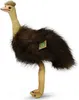 Peluche Emu 36 Cm Ecologico Anteprima dell’immagine prodotto 4