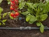 Gardena 13314-20 goutteur d'irrigation 8 l/h Noir Montage Voir les images du produit 5