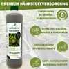 GreenPanda Dünger für Indoor & Outdoor - 1l Konzentrat für Produktbild-Vorschau 6