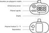 Diagram showing the components of a digital thermometer. Produktbild-Vorschau