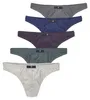 H.I.S. String Herren Unterhose 5 -teilig grau-meliert, Produktbild-Vorschau 1