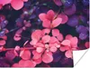 MuchoWow® Poster Blumen - Lila - Natur 120x90 cm - Wandbild Produktbild-Vorschau 1