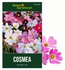 Cosmea Schmuckkörbchen Sensation Mix Samen - Cosmos Produktbild-Vorschau 1