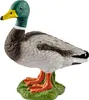 schleich FARM WORLD Erpel, 3 Jahr(e), Farm, Farm animals / Produktbild-Vorschau 1