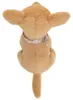 Teddy Hermann Chihuahua sitzend, Kuscheltier, Stofftier, Anteprima dell’immagine prodotto 2