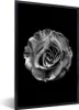MuchoWow® Gerahmtes Poster Blumen - Rose - Schwarz - Weiß - Produktbild-Vorschau 1