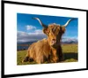 MuchoWow® MuchoWow® Gerahmtes Poster Schottische Produktbild-Vorschau 7