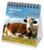 Kuhzauber Tischkalender 10x10cm für 2027 Kühe Rind Kalb - Produktbild-Vorschau 1