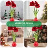 Amaryllis en cire, rouge - 2 bulbes d'amaryllis en cire - Voir les images du produit 5