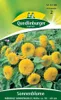 Sonnenblume, Niedrige Sonnengold Produktbild-Vorschau 1